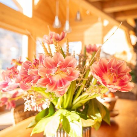 Chalet Ski Academie - Serre Chevalier Saint-Chaffrey Ngoại thất bức ảnh